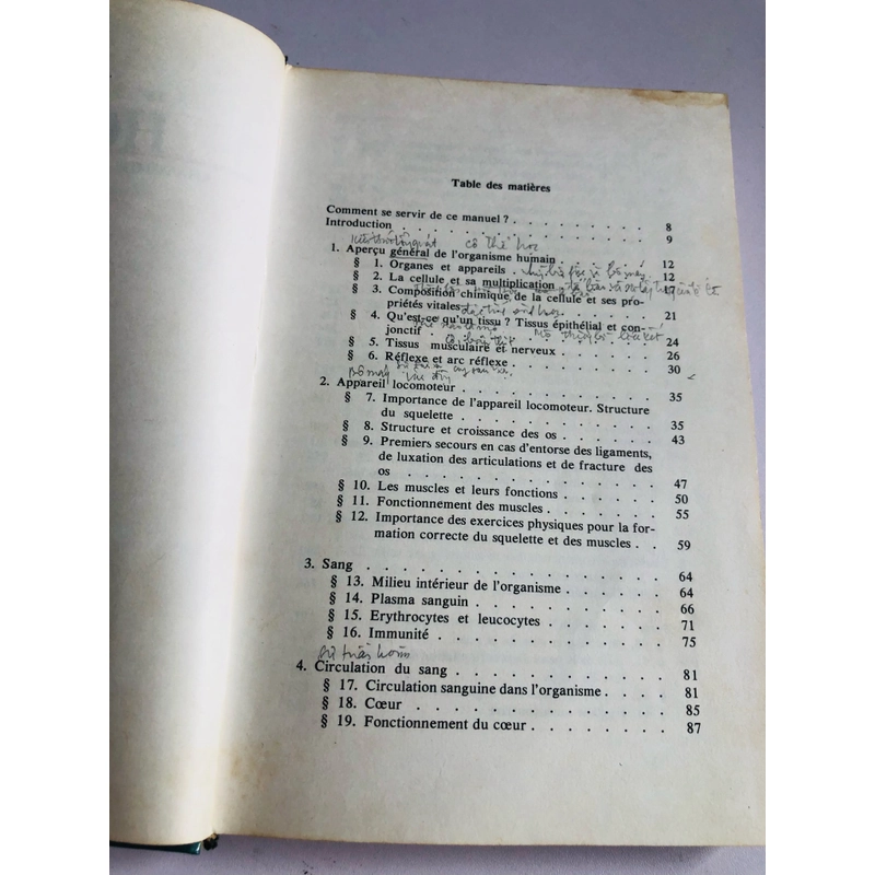 HOMME ( ngôn ngữ Tiếng Pháp) 532313