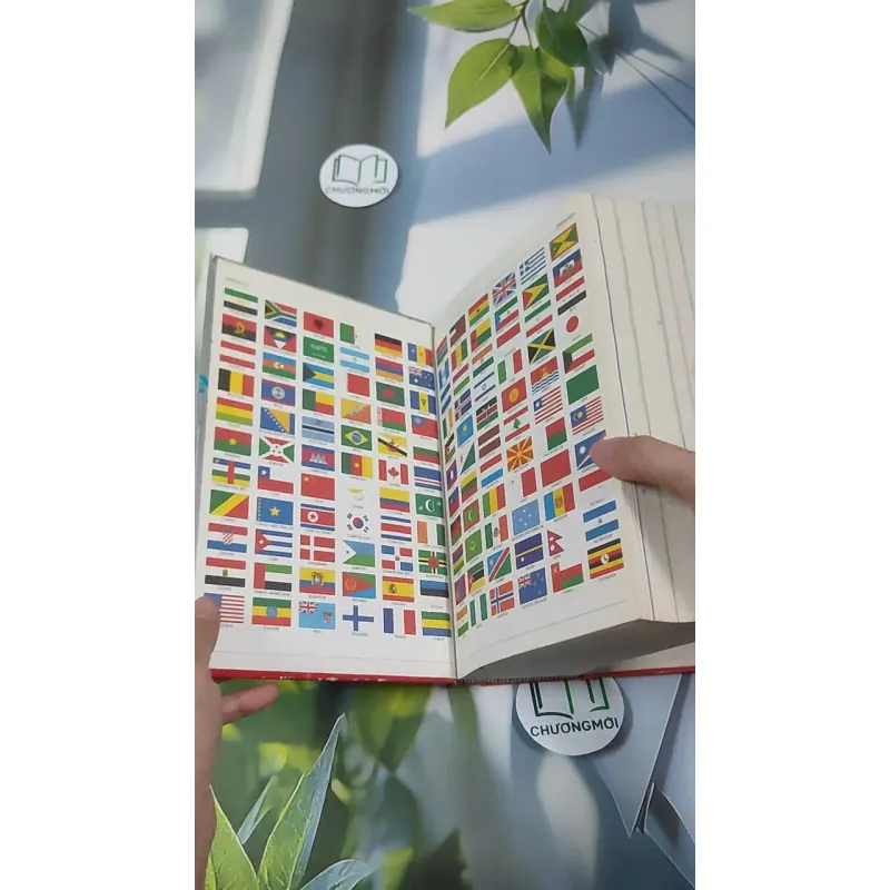 [MIỄN PHÍ BỌC SÁCH] Le Petit Larousse Illustré 2001 990523