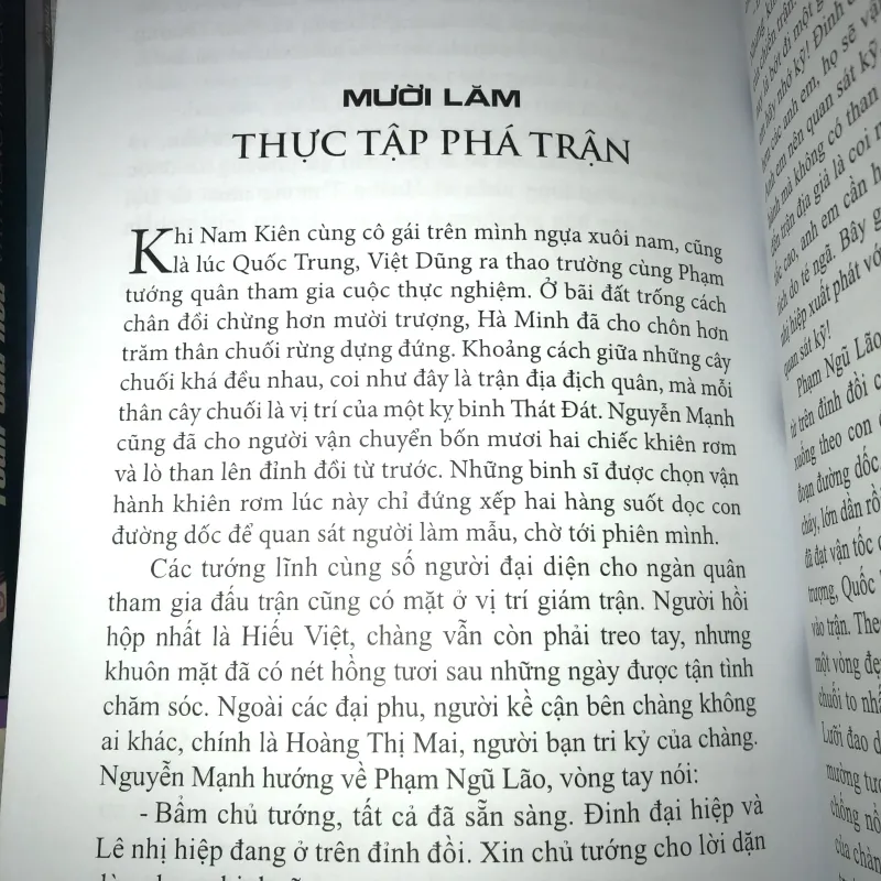 Hoa mộc miên 778540