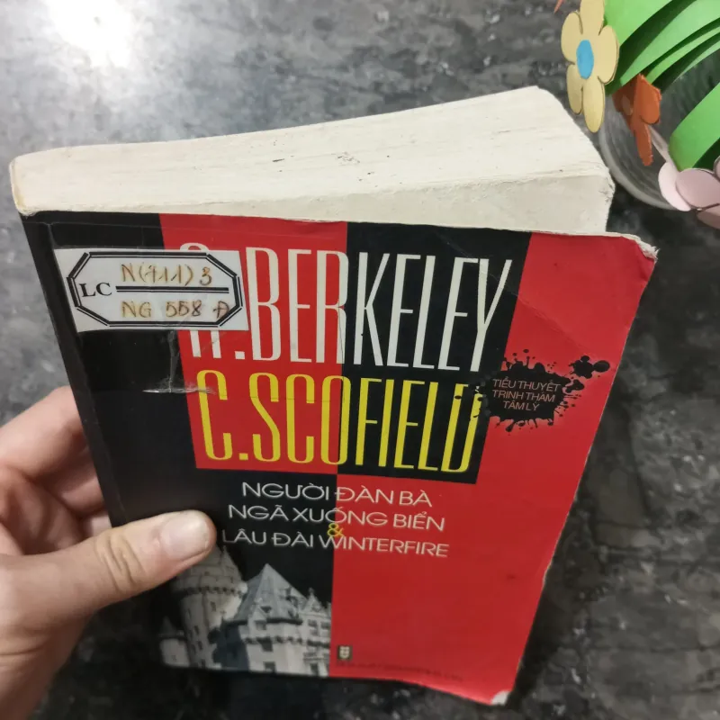 Tiểu Thuyết Lãng Mạn: Người Đàn Bà Ngã Xuống Biển 971039