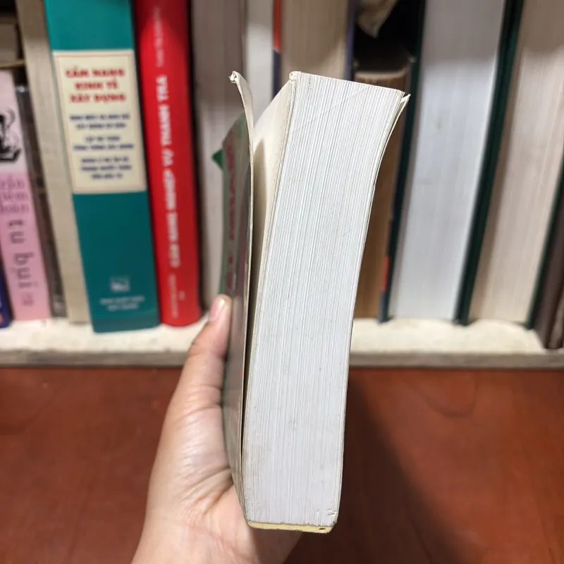 II Trung Quốc: Hồ Tuyết Nham (Quyển 2) - Chung Nguyên, Danh Vịnh - 2008 751629