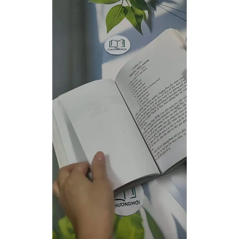 Việt Nam Sử Lược 715609