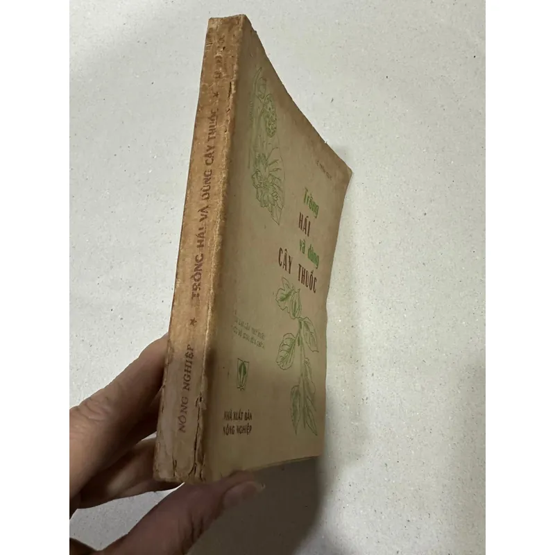 Trồng hái và dùng cây thuốc  554939