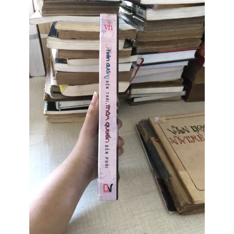 Thiên đường bên trái thâm quyến bên phải 973897