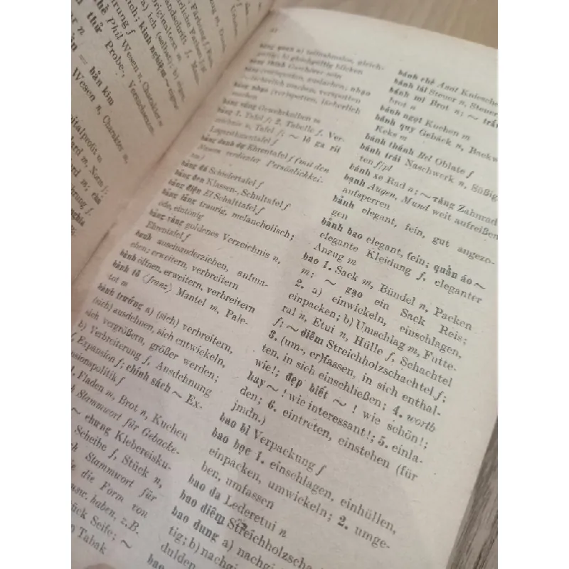 Worterbuch Vietnamesisch-Deutsch 559760