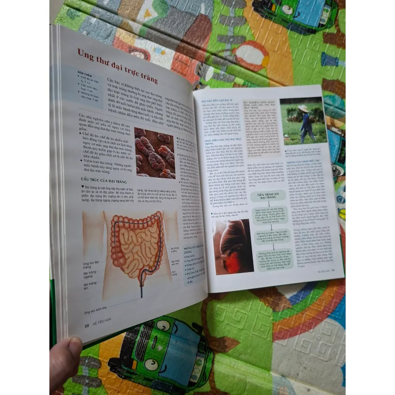 Bách Khoa Toàn Thư Chăm Sóc Sức Khỏe Gia Đình 927424