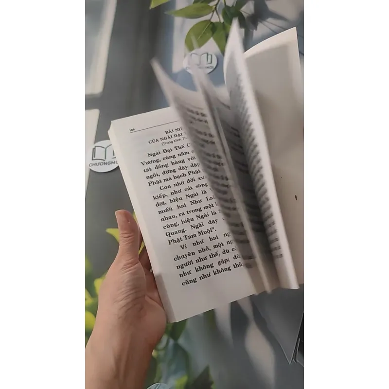 Kinh Vô Lượng Thọ - Thích Tuệ Đăng (Dịch) 928502