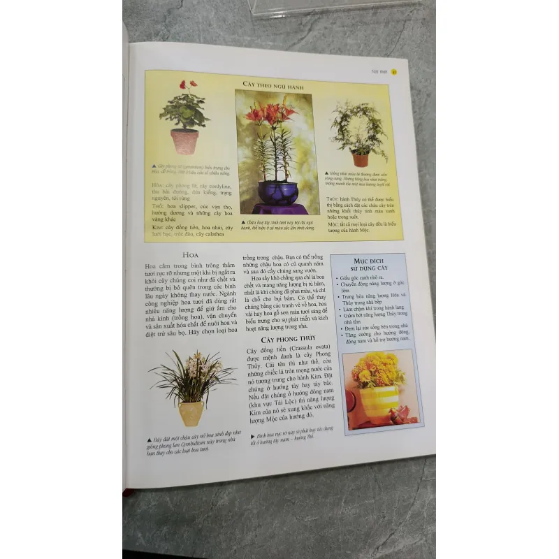 PHONG THỦY NGHỆ THUẬT BÀI TRÍ NHÀ CỬA THEO KHOA HỌC PHƯƠNG ĐÔNG - VŨ TÀI HOA 791852