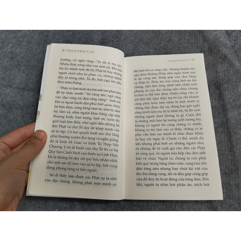 CHÓ RỪNG VÀ SƯ TỬ 549217