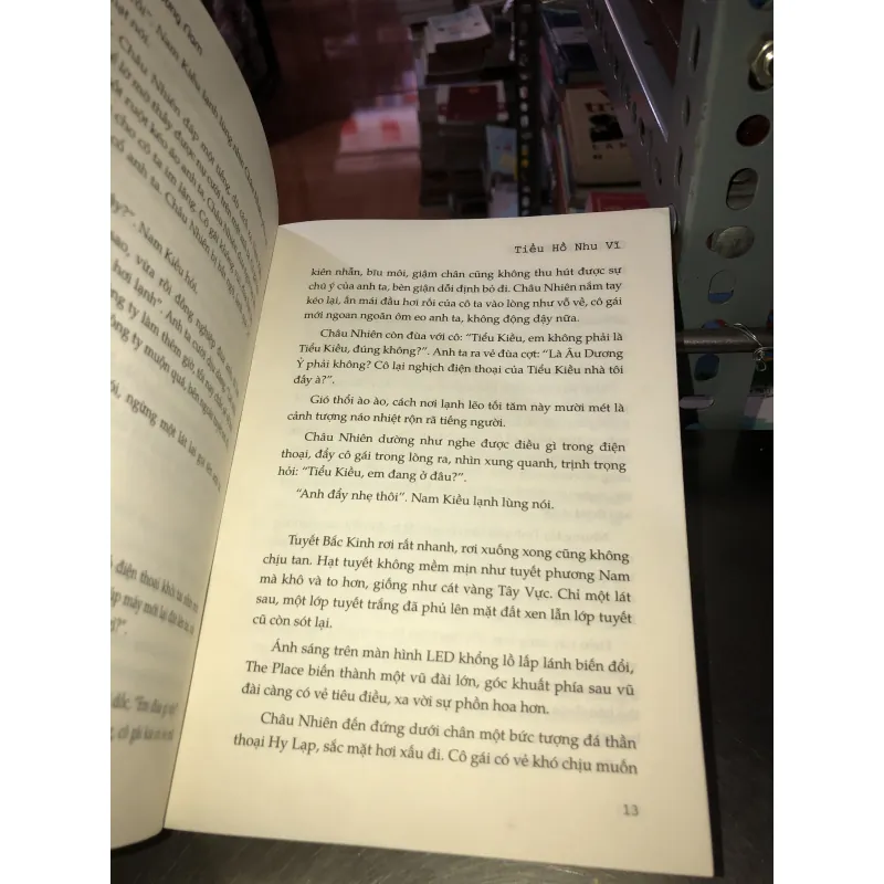 Cây lớn ở phương nam - Tiểu Hồ Nhu Vĩ 1002475