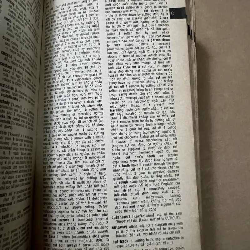 Từ Điển Anh Việt  1010348