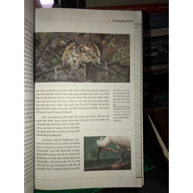 Môi trường Trung Quốc - Lưu Quân Hội - Vương Giai 782144