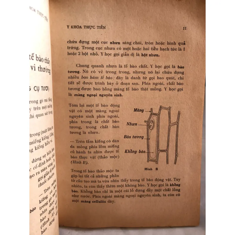 Ấp xe phổi - BS Lương Phán và BS Nguyễn Thị Lợi  1001822