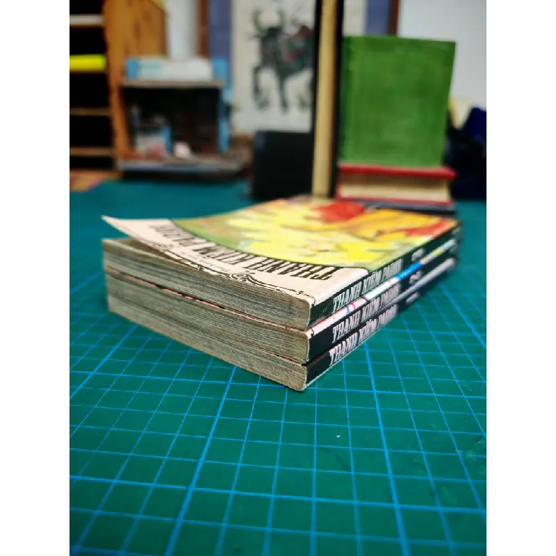 Truyện tranh Thanh Kiếm Paros 717801