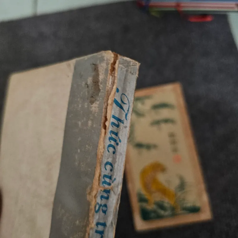 Thức cùng trang văn 11 nhà văn Huế đương đại 745886