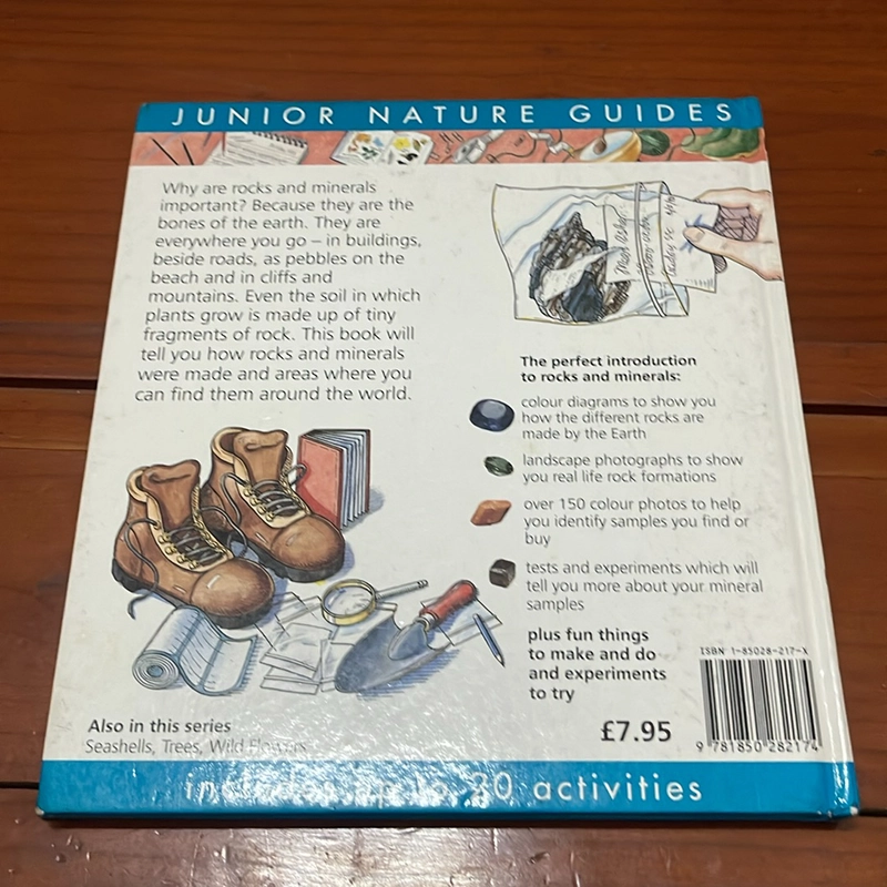 PICTURE BOOK Rocks & minerals 536494