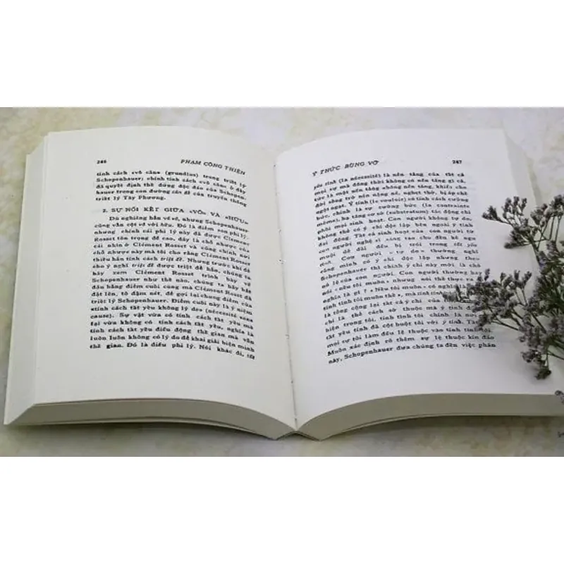 Ý THỨC BÙNG VỠ ( Phạm Công Thiện ) 693563