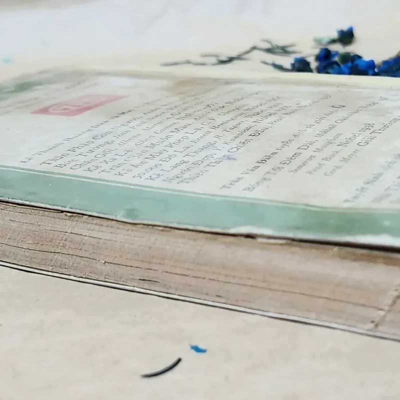 Sách trước 1975. Văn học Mỹ NHÀ TÀI PHIỆT CUỐI CÙNG -  Scott Fitzgerald 702536