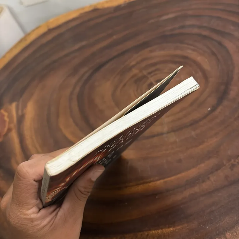 II Tuỳ Bút: Mộng Đời Bất Tuyệt - Nguyễn Tường Bách - 2006 1001905