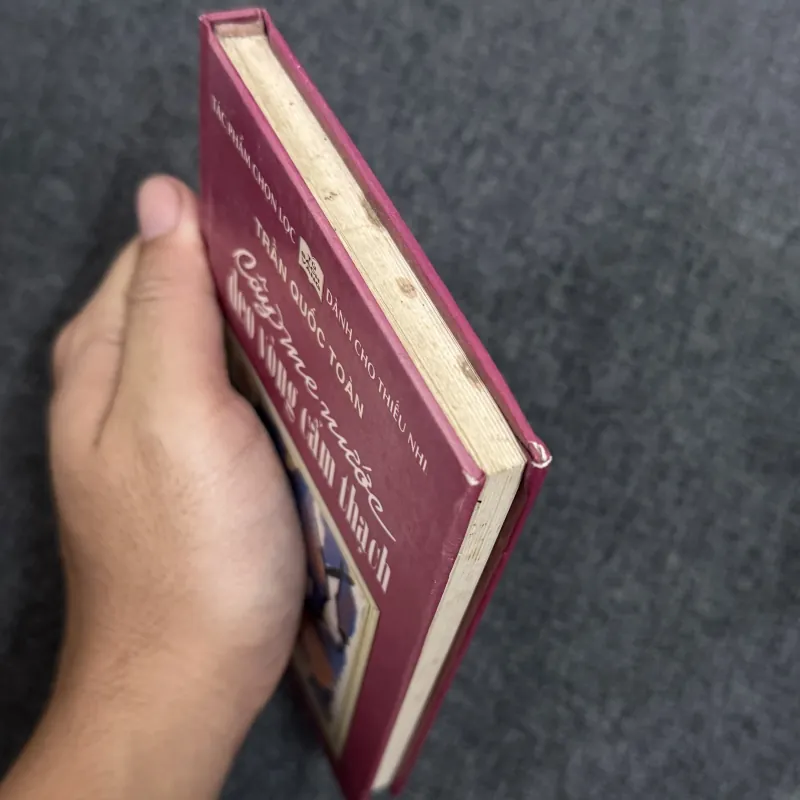 Cây me nước đeo vòng cẩm thạch (Bìa cứng) - Trần Quốc Toàn 790332