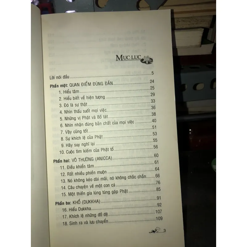 Trong vòng sinh diệt - Ajahn Chah 735839