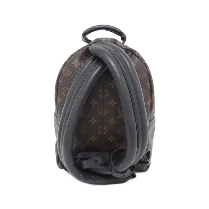 Balo Louis Vuitton Monogram Palm Springs PM M41560 609635