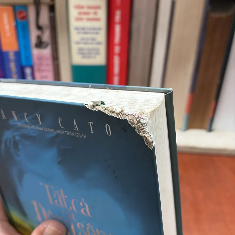 II Văn Học Nước Ngoài: Tất Cả Các Dòng Sông Đều Chảy - NANCY CATO - 2017 791999