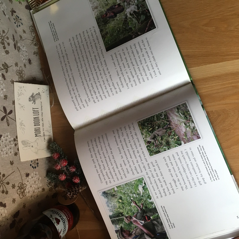 Sách tranh tiếng anh Breakfast in the Rainforest: A Visit with Mountain Gorillas, Used 476860