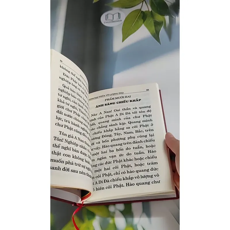 Phật thuyết Đại thừa Vô lượng Thọ Trang Nghiêm Thanh Tịnh Bình Đẳng Giác Kinh - Ngài Hạ L 607734