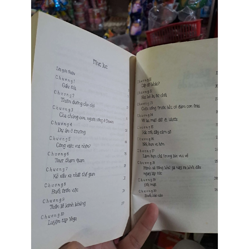 Rắc rối đầy cám dỗ - Hopkins - 2008 mới 80% ố - VĂN HỌC - HCM0111 920869