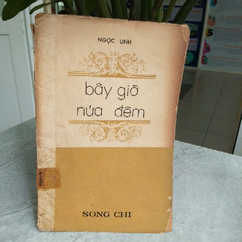 BÂY GIỜ NỬA ĐÊM - Ngọc Linh 256399