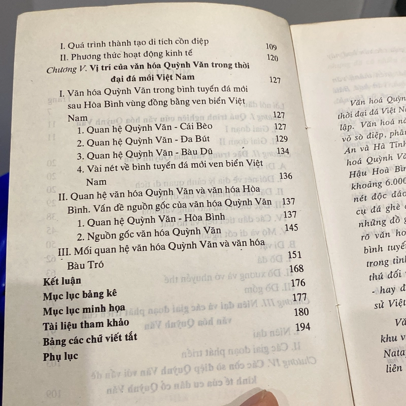 VĂN HÓA QUỲNH VĂN, sách nghiên cứu khảo cổ học Việt Nam (xb 1998) 550418