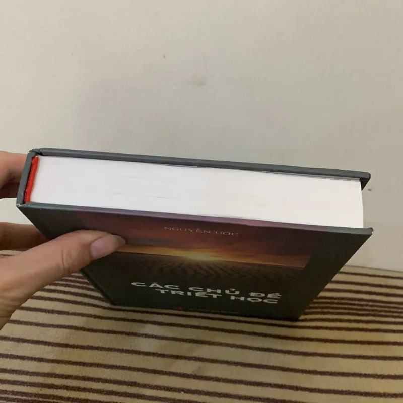 Các chủ đề triết học 1025879