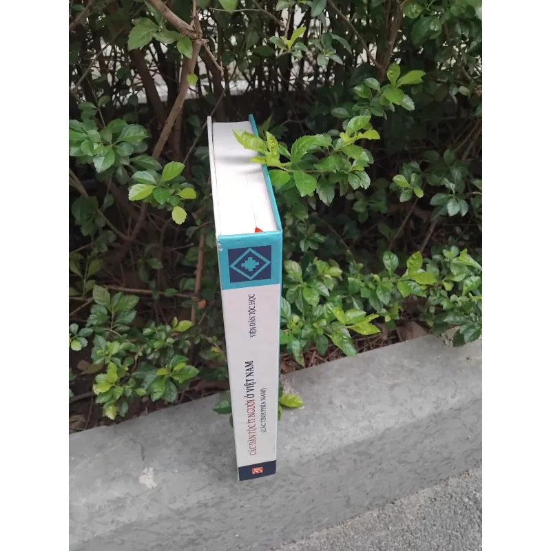 Các dân tộc ít người ở Việt Nam ( các tỉnh phía Nam )  1001906