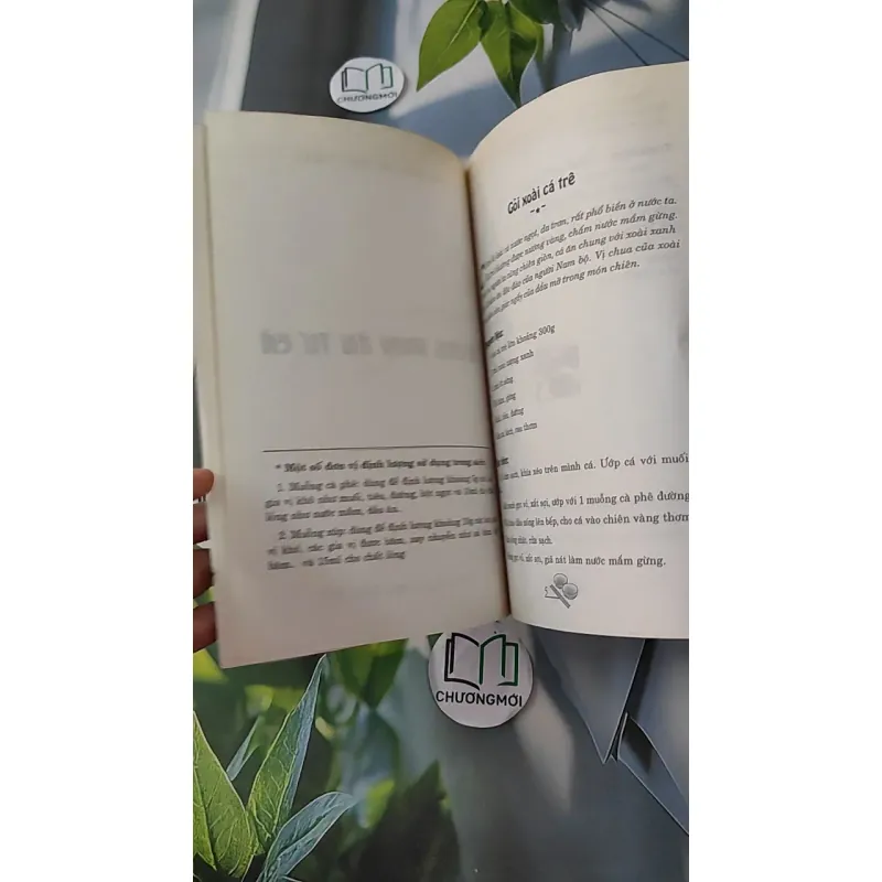 Những món ăn từ cá - Nguyễn Thị Diệu Thảo 1018803