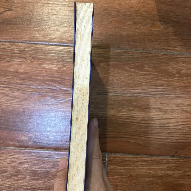 Xứ Đàng Trong - Li Tana  (8) 1005370