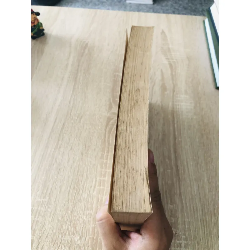 Giảng Văn Văn Học Việt Nam  973666