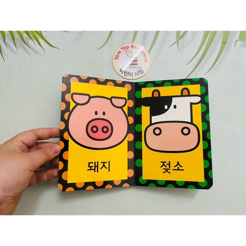 Set boardbook tiếng Hàn B34  1066253