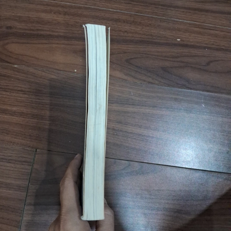 Một mình ở châu âu 511879