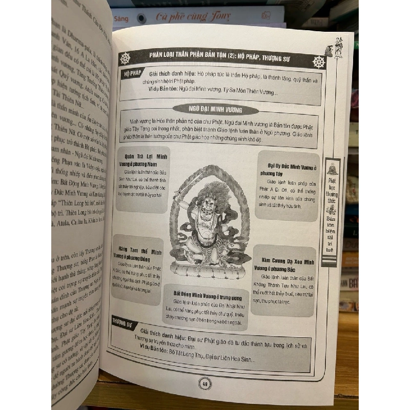 Bản tôn biện tài trí tuệ-Chu Tước Nhi dịch 786281