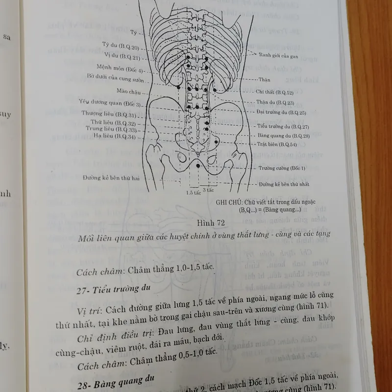 CHÂM CỨU HỌC Trung QUỐC  674270