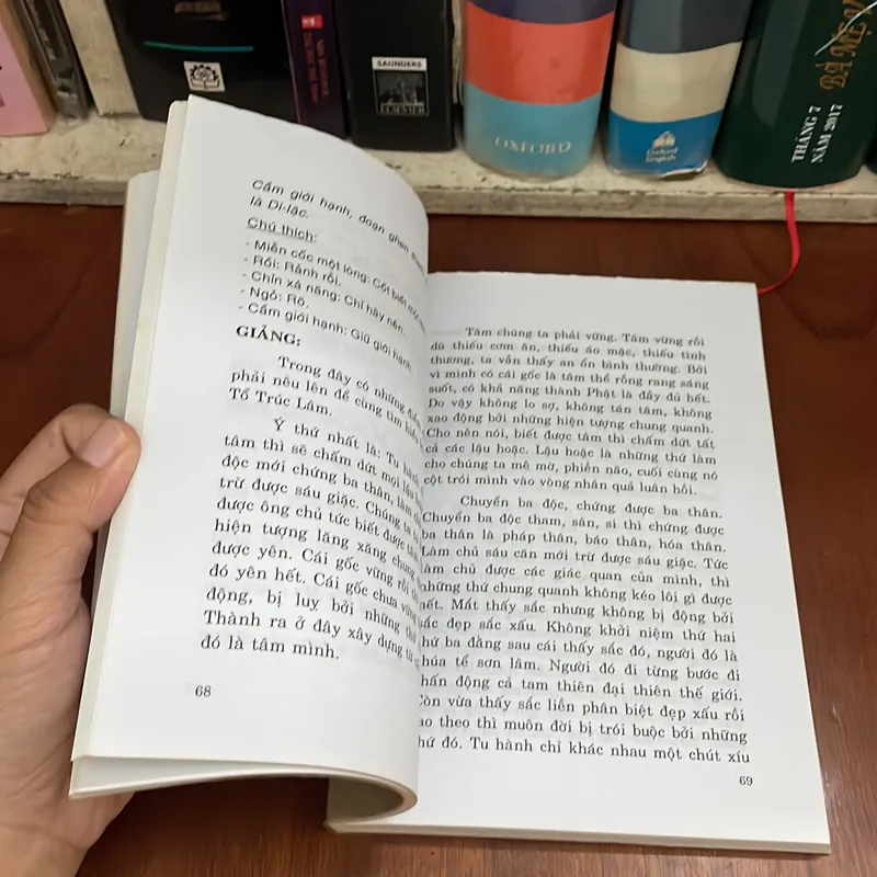 II Tựa sách: Nửa Ngày Của Thái Thượng Hoàng - Thích Nhật Quang - 2010 562187
