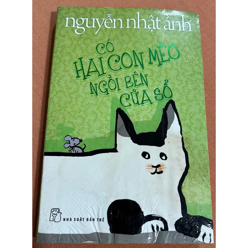 Có hai con mèo ngồi bên cửa sổ 🌊 599769