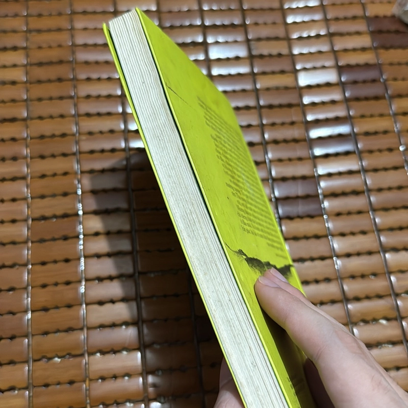 Cánh đồng bất tận - Nguyễn Ngọc Tư 527350