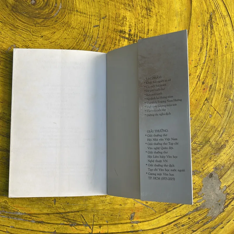 TRƯƠNG NAM HƯƠNG- ĐƯỜNG THI NGẪU DỊCH 101 BÀI 735731