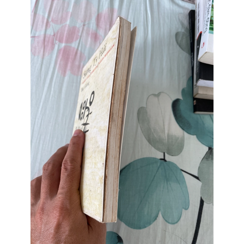 Sương tỳ hải 443031