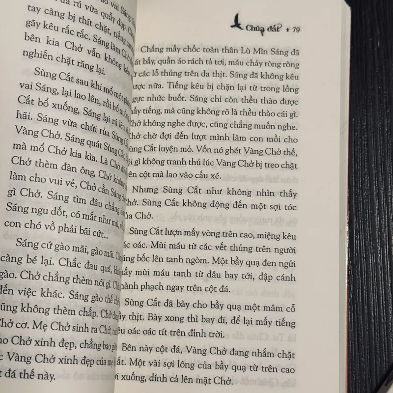 Combo 2c Đỗ Bích Thuý 684423