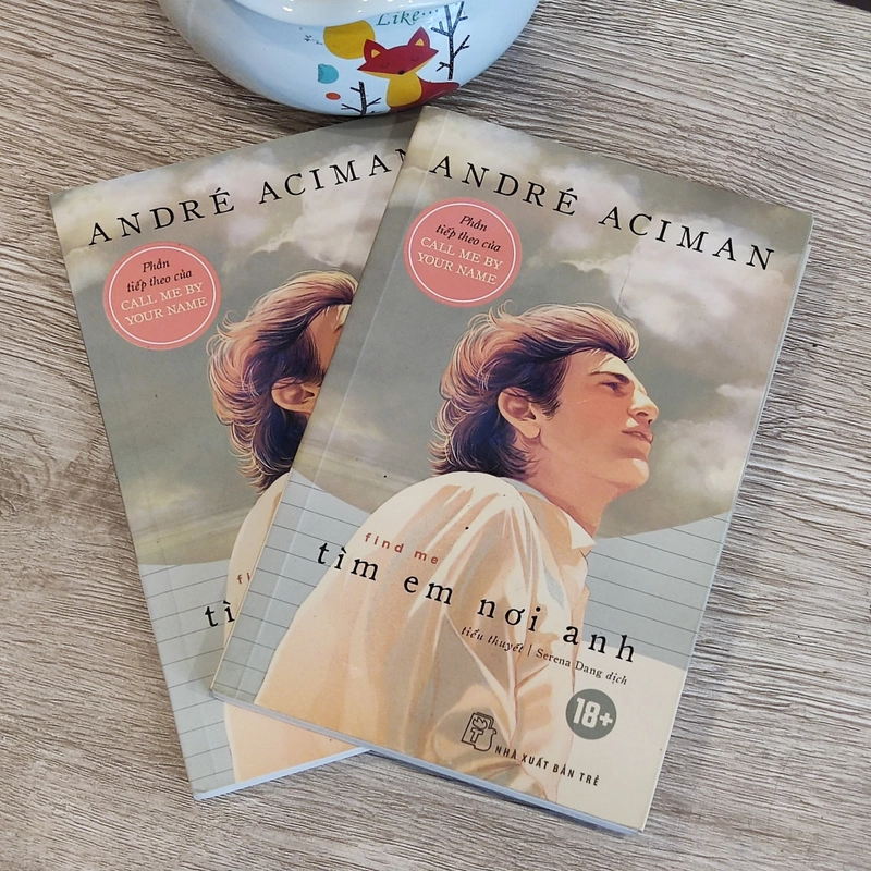 TÌM EM NƠI ANH - ANDRE ACIMAN 292301