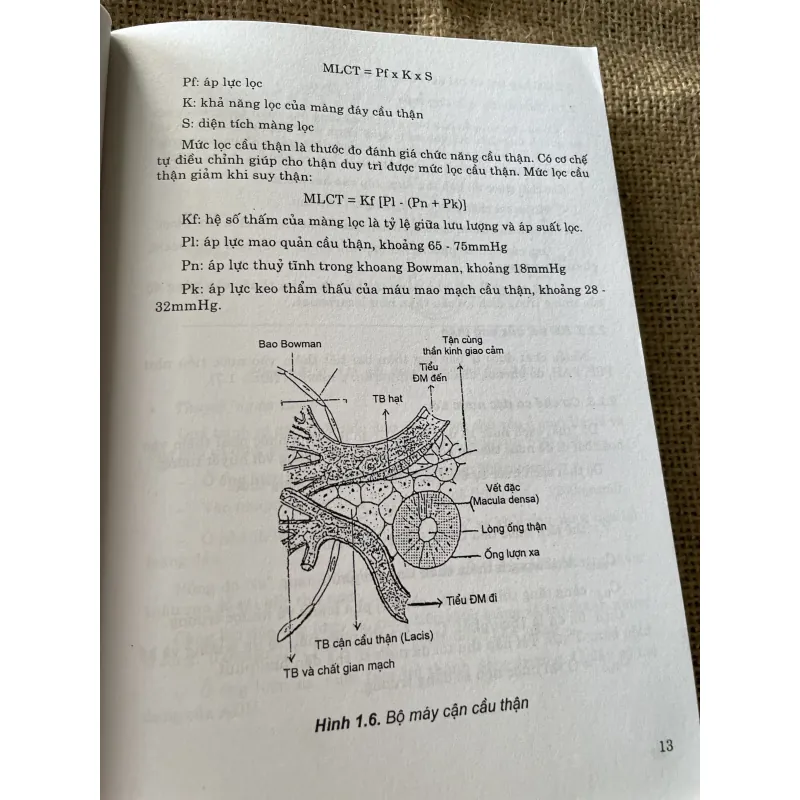 Bênh thận - 510 trang  795646