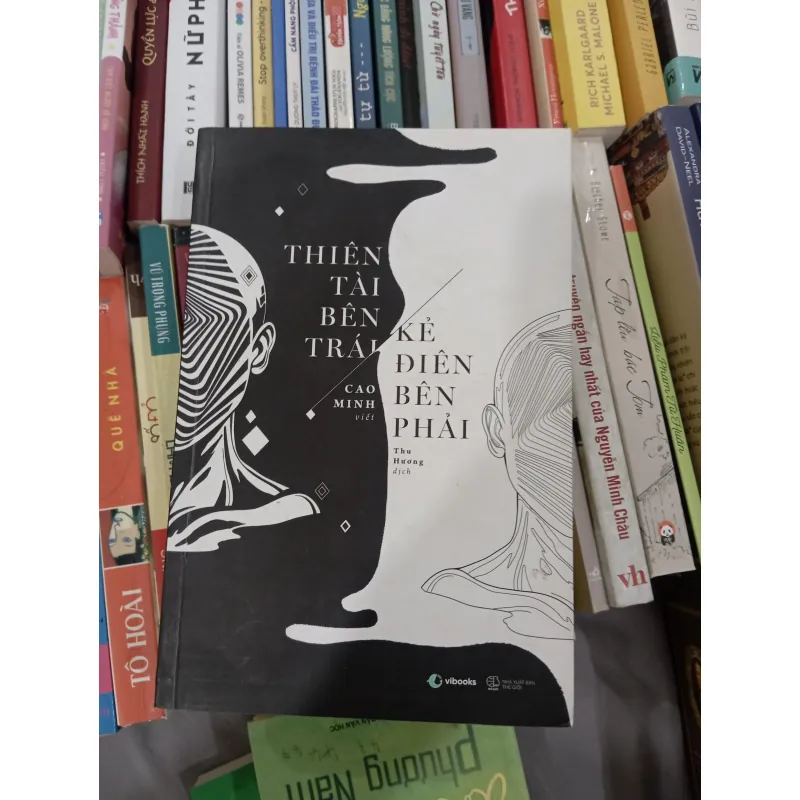 Thiên tài bên trái, kẻ điên bên phải  974440